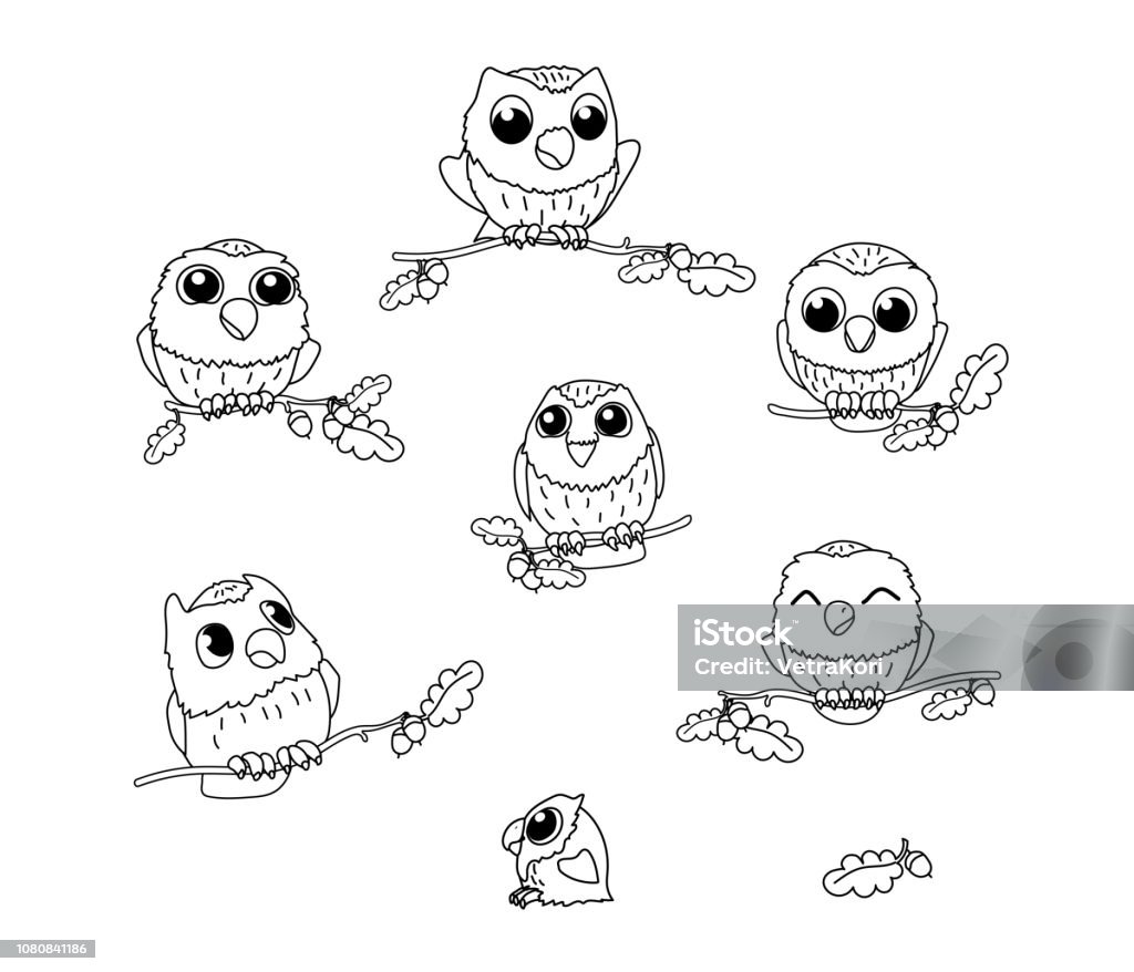 vector cartoon animal clip art vector cartoon animal clipart cute owl birds Animal stock vector