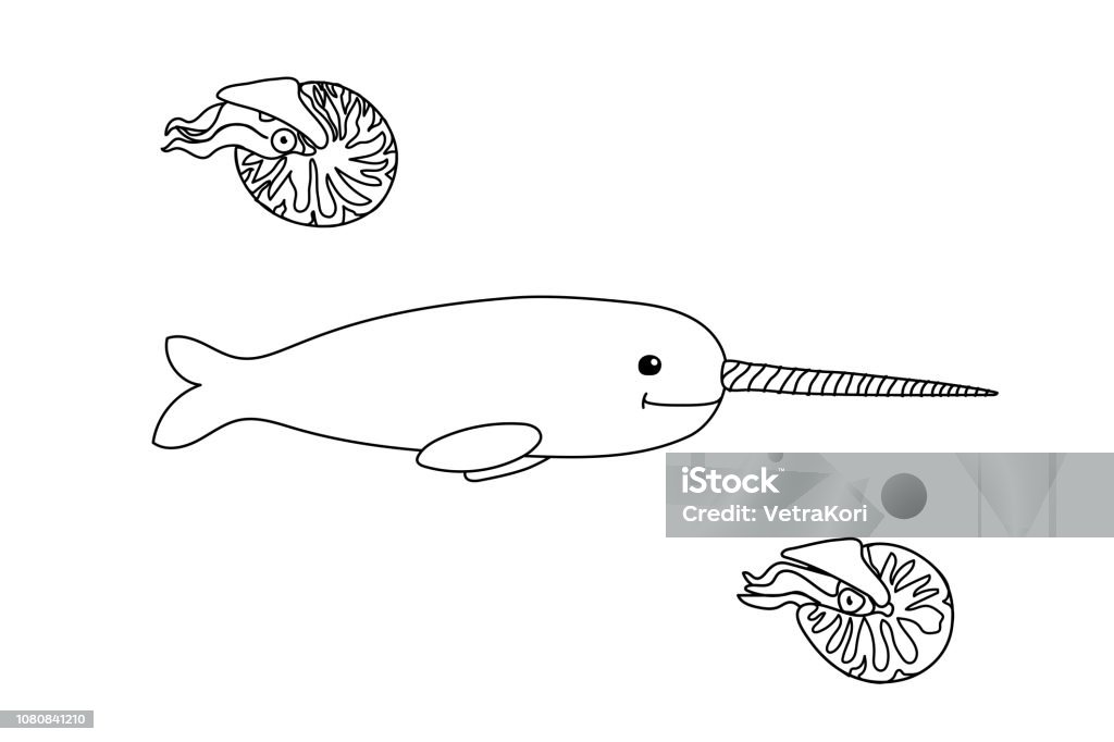 vector cartoon animal clip art vector cartoon animal clipart narwhal, nautilus Icon Symbol stock vector