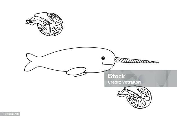 Vector Cartoon Animal Clip Art Stock Illustration - Download Image Now - Icon Symbol, Nautilus, Outline