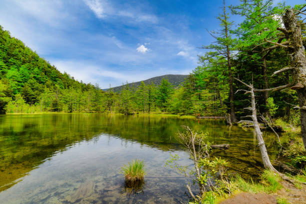 istock Taishoike pond Hotaka mountain range in Kamikochi, Japan 1080842942