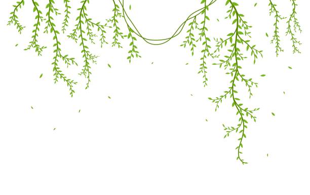 鳥と美しい木の枝のシルエット壁紙ステッカーの背景 - つる草点のイラスト素材／クリップアート素材／マンガ素材／アイコン素材