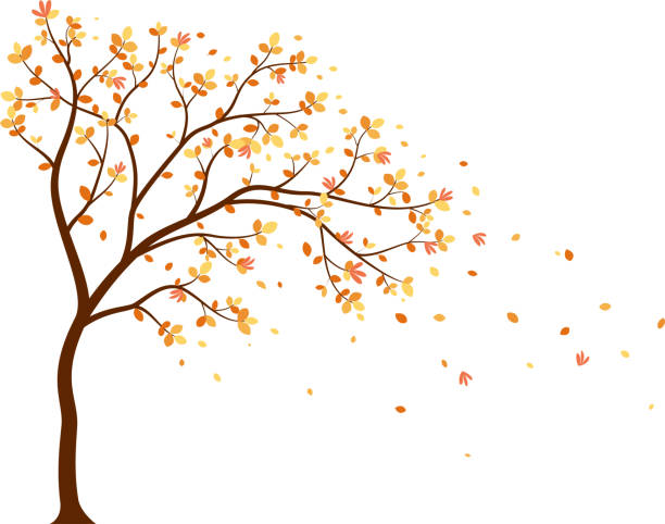 ilustrações, clipart, desenhos animados e ícones de temporada outono com caindo folhas com pássaro para adesivo de papel de parede - autumn silhouette tree leaf