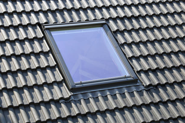 istock Skylight on a residential home 1080849830