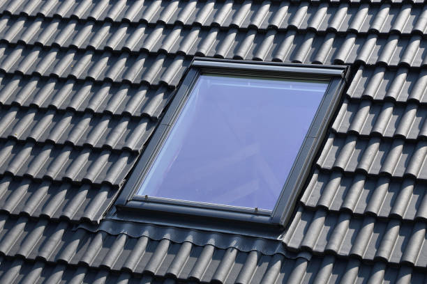 istock Skylight on a residential home 1080850228