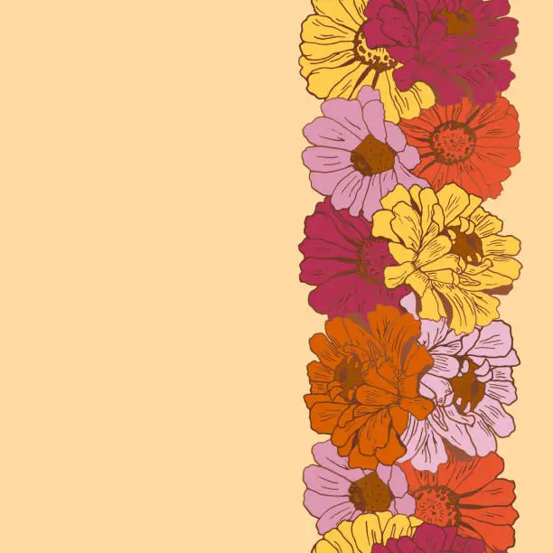 Vector illustration of Vertical seamless border with flowers zinnia. Floral design.