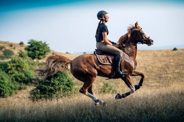 istock Horseback rider riding her horse. 1080857908