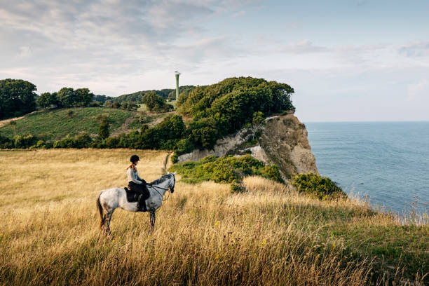 Horseback riding at Møns Klint in Denmark. Young woman on horseback admiring the view from the top of the cliffs at Møns Klint in Denmark in the late afternoon light. She is riding a mottled grey horse and she is wearing a long sleeved  t-shirt, riding trousers, riding boots and a protective helmet. Colour, horizontal format with lots of copy space. The tower in the background was part of a NATO early warning radar network that could look across the Baltic towards Russia. Now we are told it monitors shipping passing through the Baltic. zealand denmark stock pictures, royalty-free photos & images