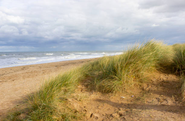 istock Juno Beach, Normandy, France 1080870936