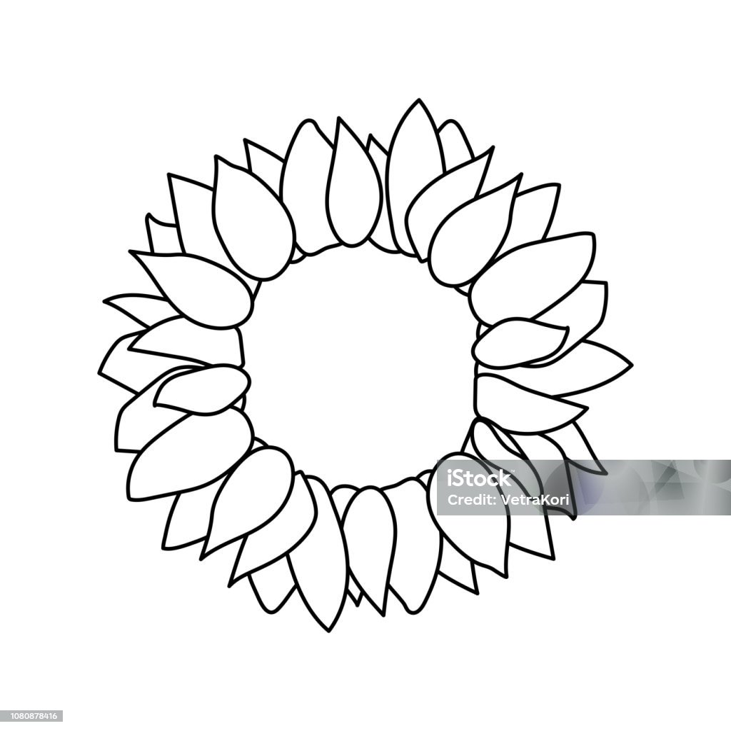 vector sunflower seed head flower vector sunflower seed head outline flower icon Agriculture stock vector