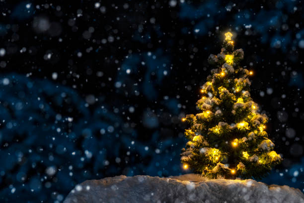 istock A warm glowing small Christmas Tree with lights outside at night as it snows 1080885506