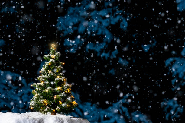istock A glowing small Christmas Tree with lights outside at night as it snows 1080885762