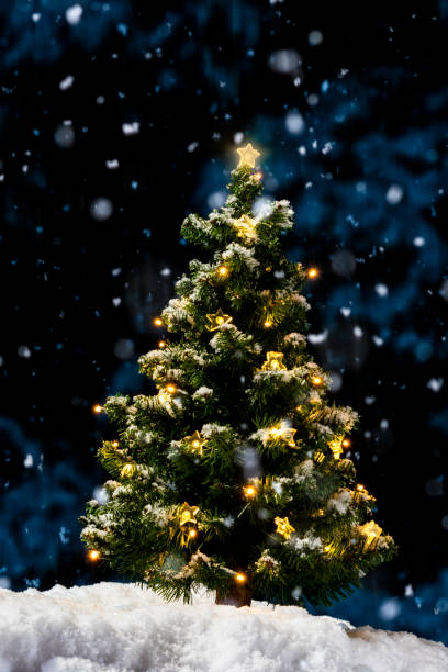 istock A glowing small Christmas Tree with lights outside at night as it snows 1080885848