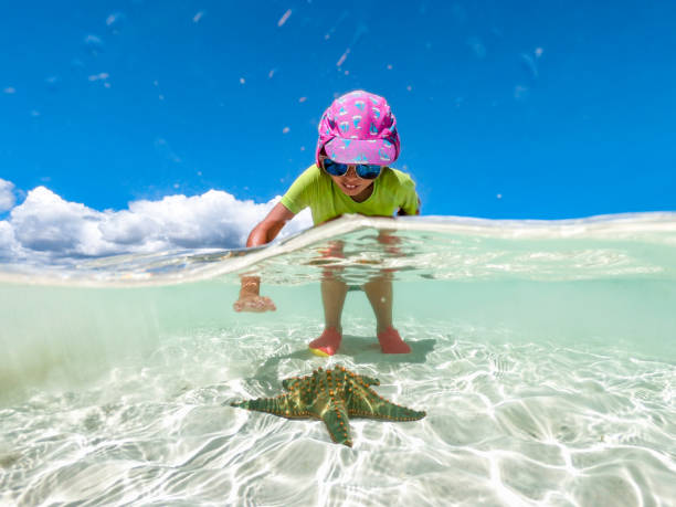 Young Girl Enjoying Finding a Starfish in the Sea stock photo