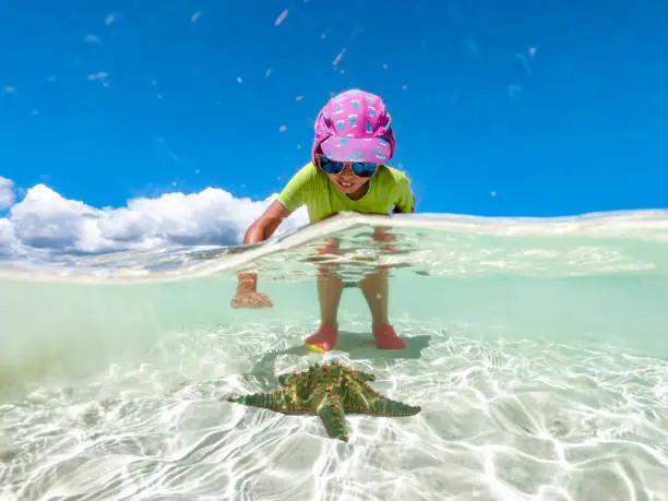 Photo of Young Girl Enjoying Finding a Starfish in the Sea