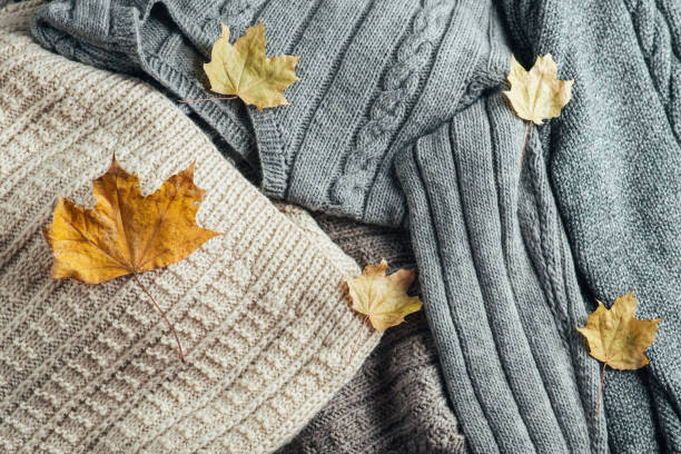 istock Warm winter sweaters with dry leaves top view 1080902698