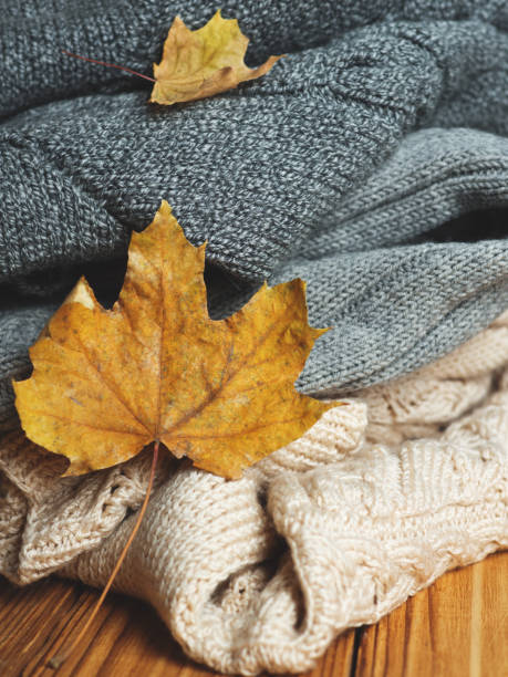 istock Warm sweaters with dry leaves 1080902738