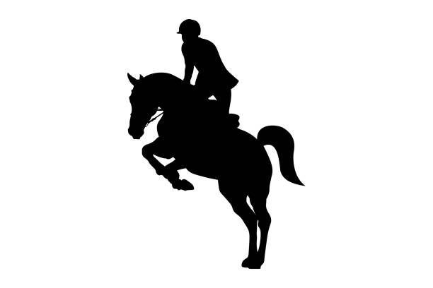 ilustraciones, imágenes clip art, dibujos animados e iconos de stock de piloto de hombre deporte ecuestre - caballo saltando
