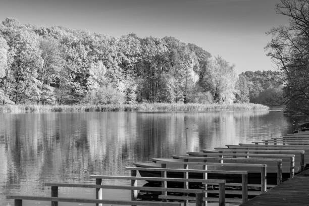istock Scenic View Of Lake By Trees Against Sky 1080935302