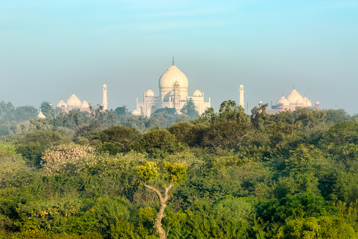 The Taj Mahal, an immense mausoleum of white marble, is located Agra India. It was built between 1631 and 1648 by Mughal Emperor Shah Jahan in memory of his wife Mumtaz Mahal. The mosque, guest house and main gateway on the south, the outer courtyard and its cloisters were completed in 1653 AD. It is built of brick-in-lime mortar with a red sandstone veneer and contains relief work in highly polished marble and is richly decorated with inlay work containing precious and semi precious stones. The exterior of the tomb is square with chamfered corners. The large double storied domed chamber is a perfect octagon. The four free-standing minarets at the corners of the platform add dimension to the architecture. It was designated as a UNESCO World Heritage Site in 1983 for being the jewel of Muslim art in India and one of the universally admired masterpieces of the world’s heritage.