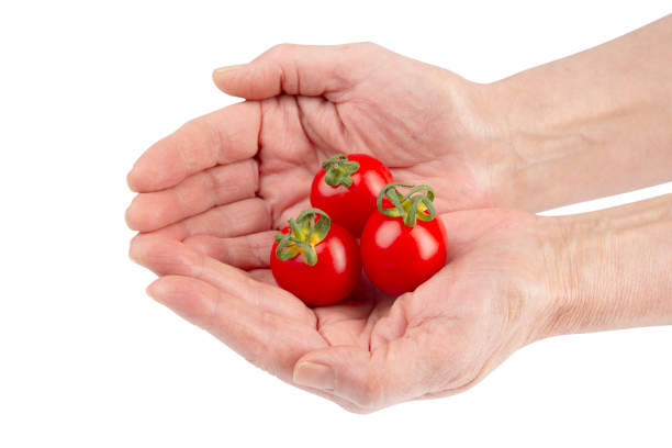 pomidor - cherry tomato tomato sauce isolated close up zdjęcia i obrazy z banku zdjęć