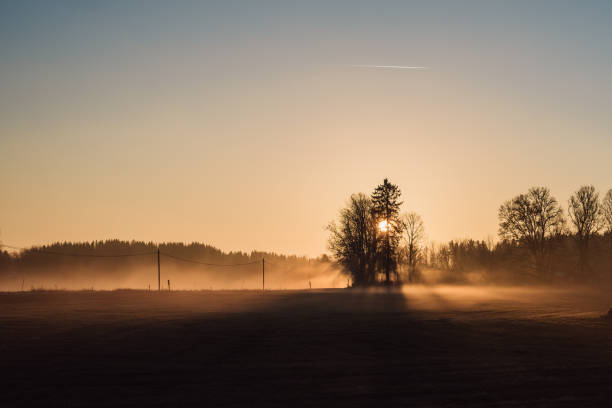 istock Foggy winter morning in sunrise 1080941292