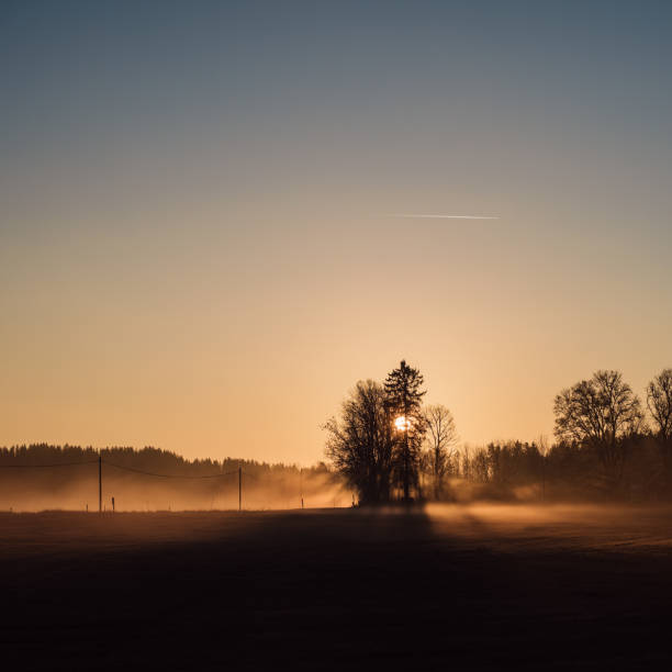 istock Foggy winter morning in sunrise 1080941346