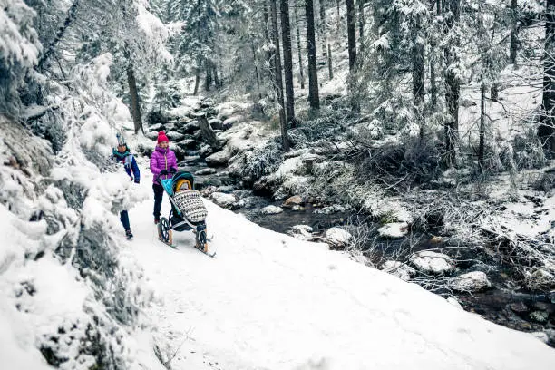 Mother with baby stroller enjoying winter forest with female friend or partner, family time. Hiking or power walking woman with sledge pram in woods. Beautiful winter snowy inspirational mountains.