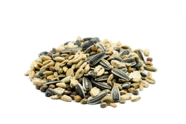 istock Birdseed heap isolated on white background 1080959102