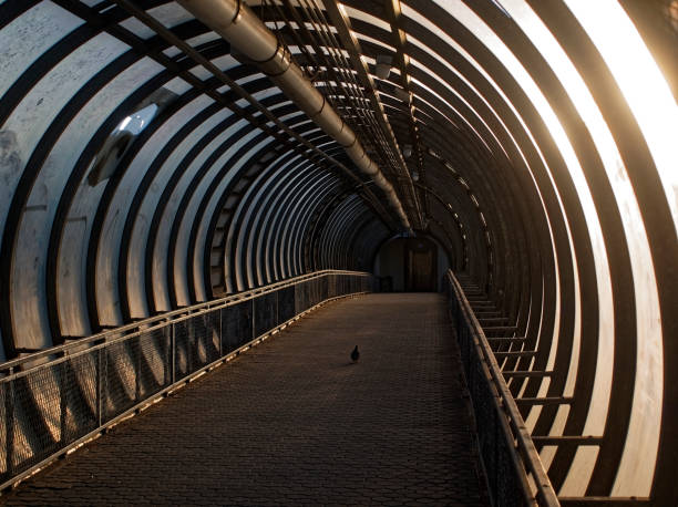istock elevated pedestrian crossing in Moscow in summer 1080964688
