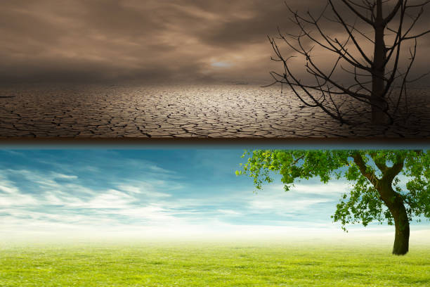 Plants and climate change with the concept of global warming. stock photo