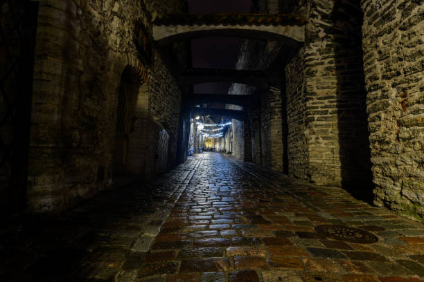 istock Tallinn Old Town at Night 1080971494