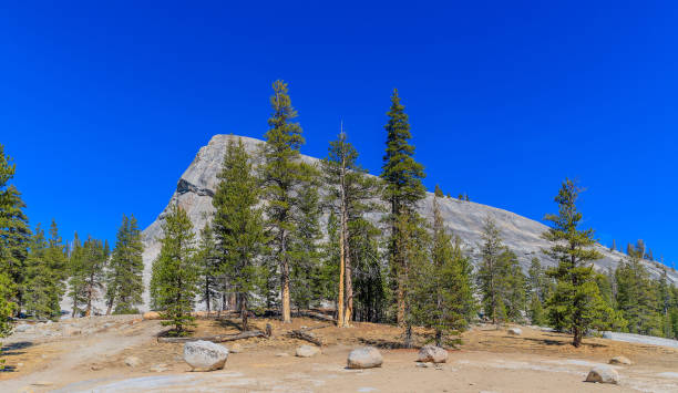 istock Yosmite National Park 1080972590