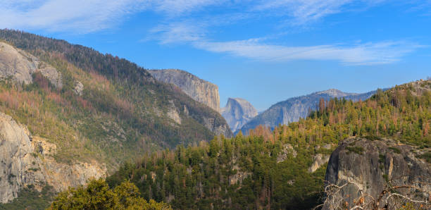Yosmite National Park