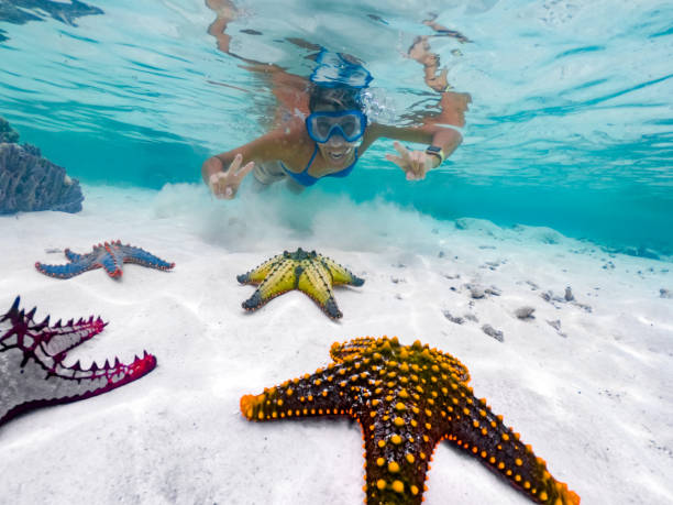 erwachsenes weibchen zeigt peace-zeichen beim schnorcheln rund um tropische seestern - zanzibar stock-fotos und bilder