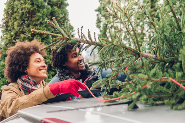 istock Couple tying Christmas tree to a car 1080987156