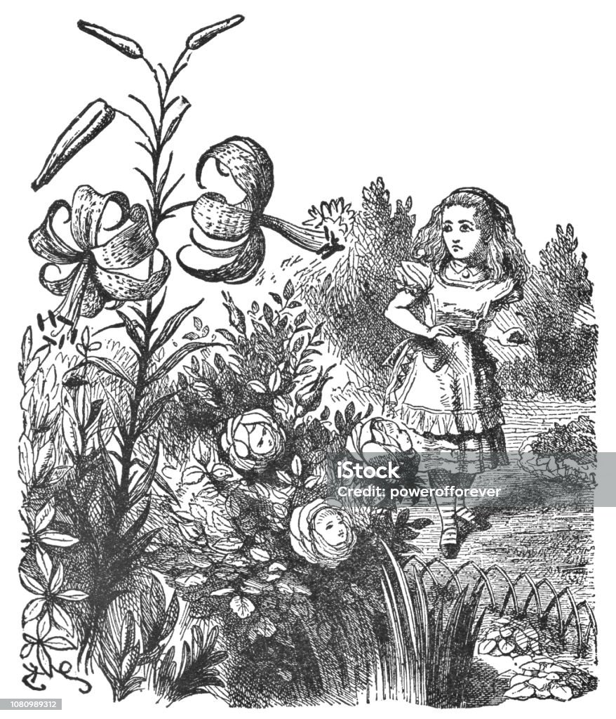 Alice in the Garden of Live Flowers in Through the Looking-Glass Alice in the Garden of Live Flowers from Through the Looking-Glass, and What Alice Found There. Antique etching circa late 19th century. Alice in Wonderland - Fictional Character stock illustration