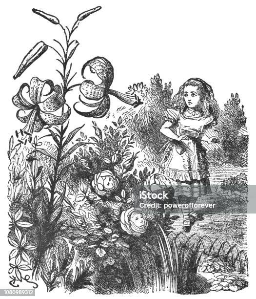 Alice In The Garden Of Live Flowers In Through The Lookingglass Stock Illustration - Download Image Now