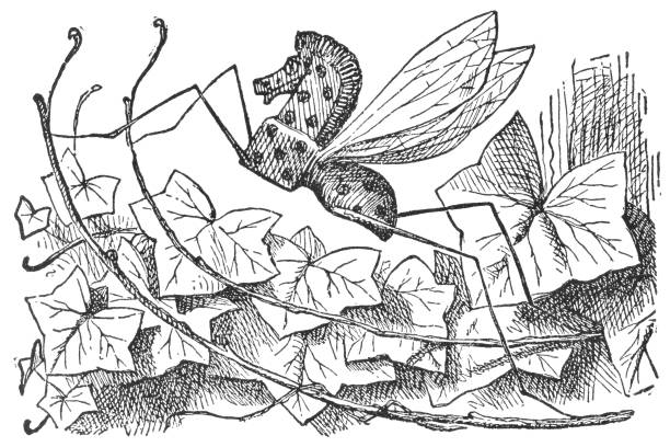 rocking horse fly w przez looking-glass - horse fly stock illustrations