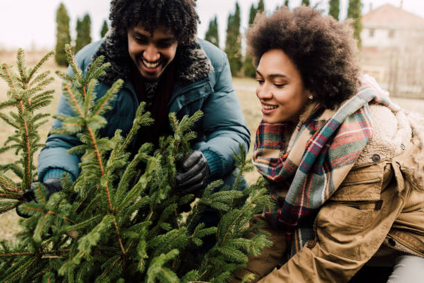 istock Happy young couple squatting around a Christmas tree 1080998694