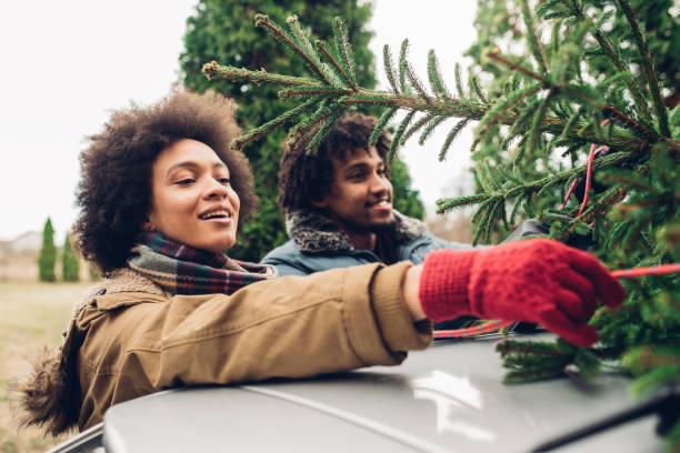 istock Young people tying Christmas tree to a car 1081001086