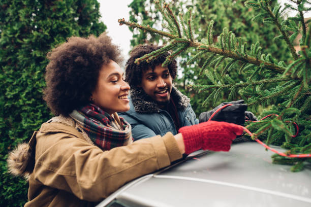 istock Smiling woman tying Christmas tree on car roof 1081001224