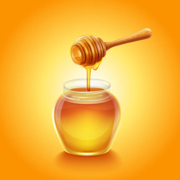 illustrazioni stock, clip art, cartoni animati e icone di tendenza di cenato miele - honey dipper