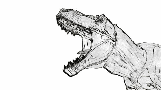 tyrannosaurus rex roar tyrannosaurus rex roar sketch style 3d illustration dinosaur drawing stock pictures, royalty-free photos & images
