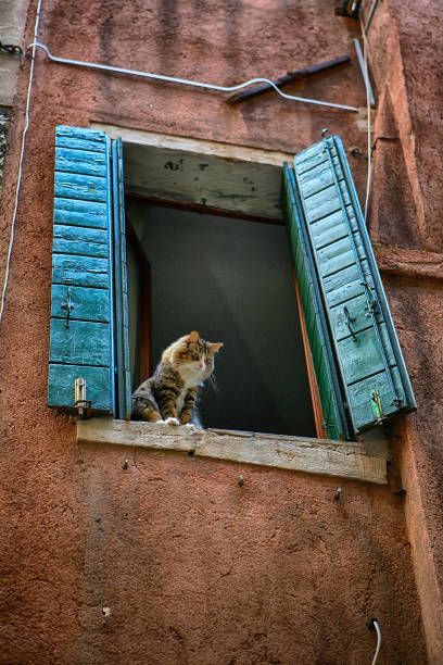 istock Neighborhood Watch 1081006790