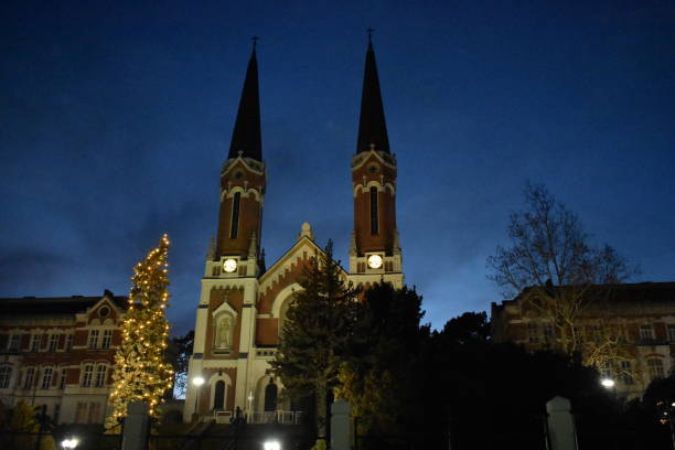 istock Church and Christmas tree in Vienna by night 1081014322