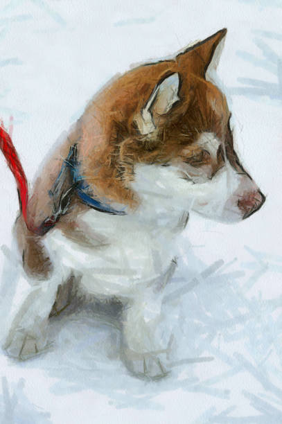 Sketch Siberian Husky Puppy