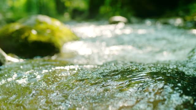 Super slow motion shot of a flowing water of a stream in the forest. Bistrski Vintgar. Slovenia