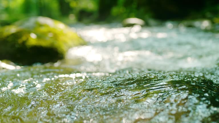 Super slow motion shot of a flowing water of a stream in the forest. Bistrski Vintgar. Slovenia