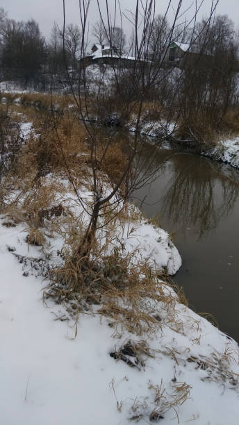 istock The creek is not frozen in winter 1081042932