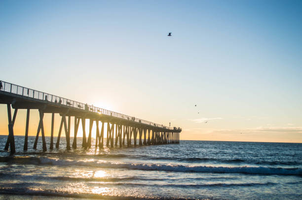 istock Hermosa Beach and pier at Sunset in winter 1081049102